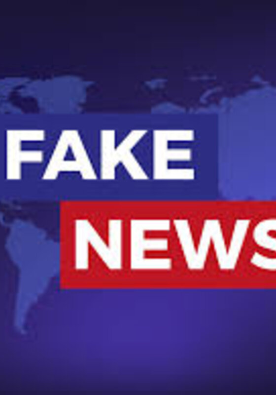 Image of Fake news and disinformation online